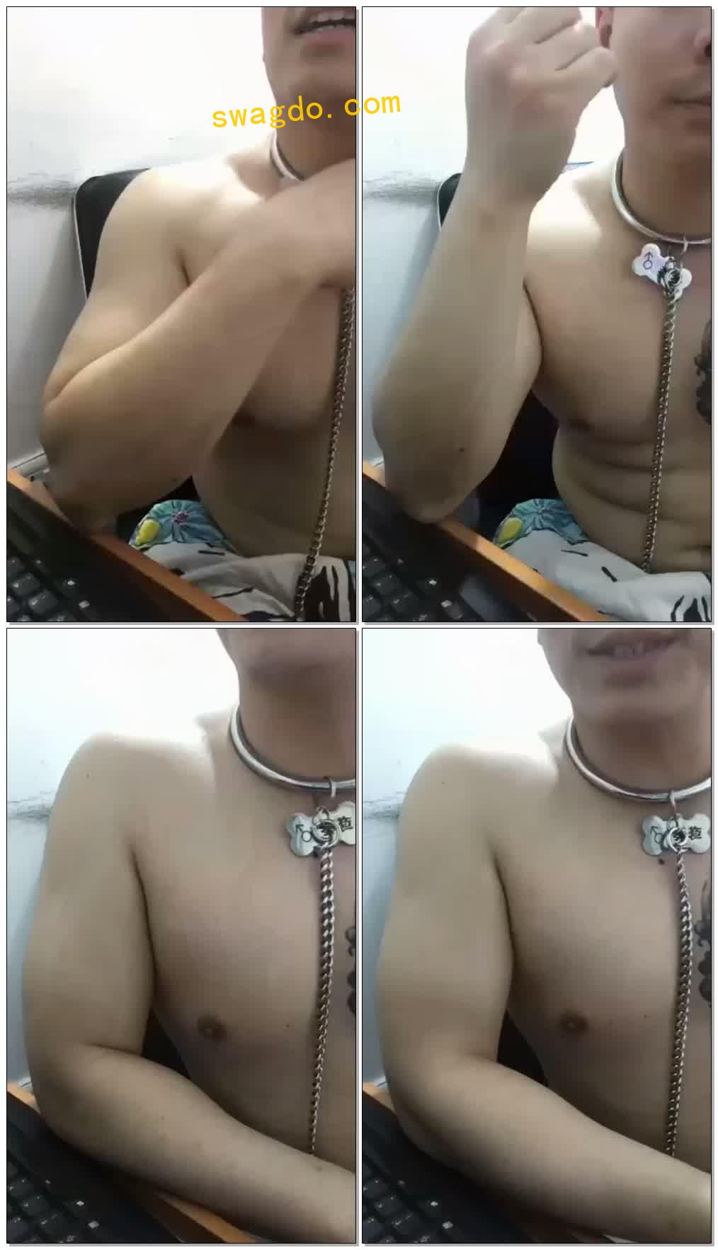 【莺葵】M戴永久项圈【60分钟】