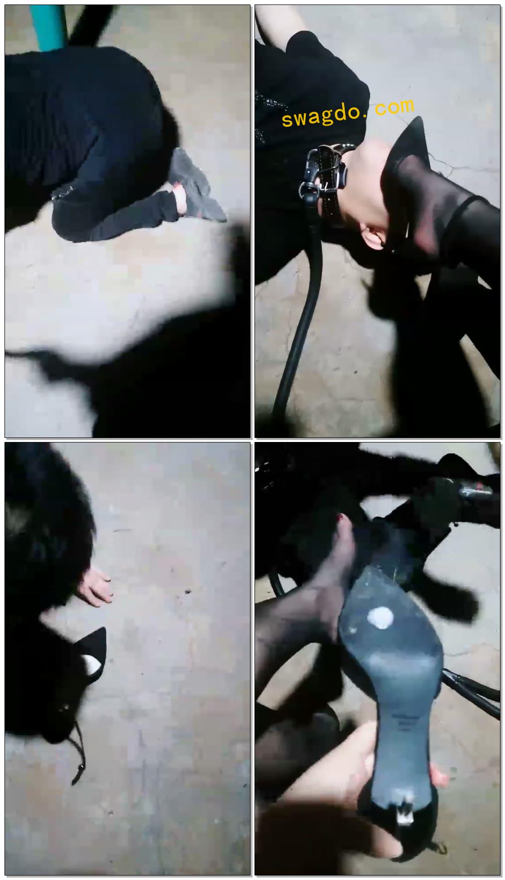 【丝皇女王】户外课玩圈养狗【41分钟】 【丝皇女王】户外课玩圈养狗【41分钟】
