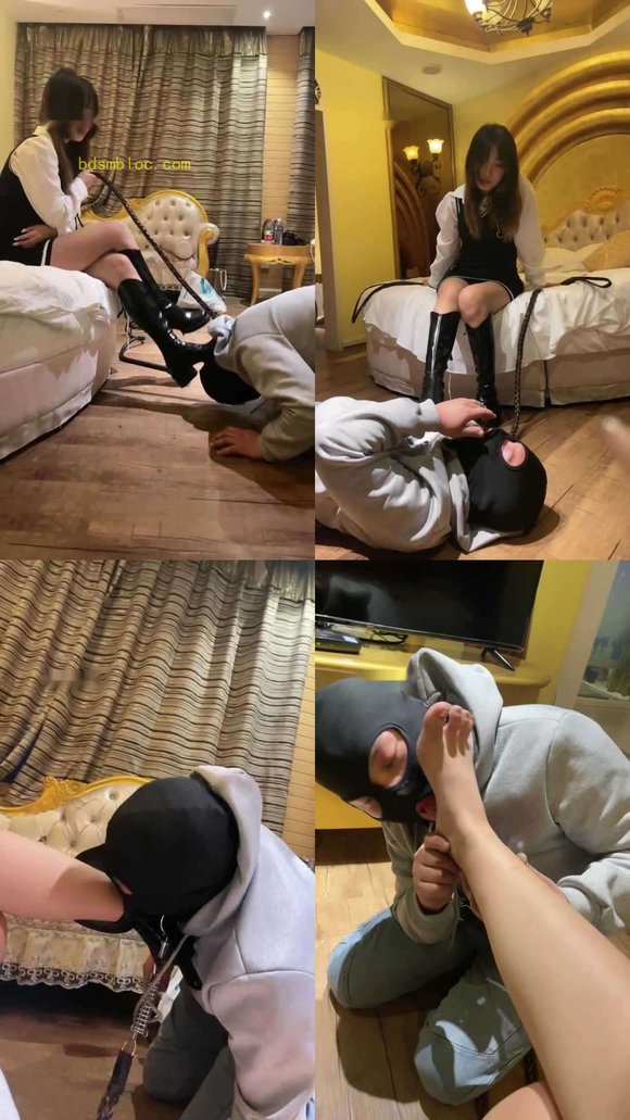 【关关】小调一只蠢狗
