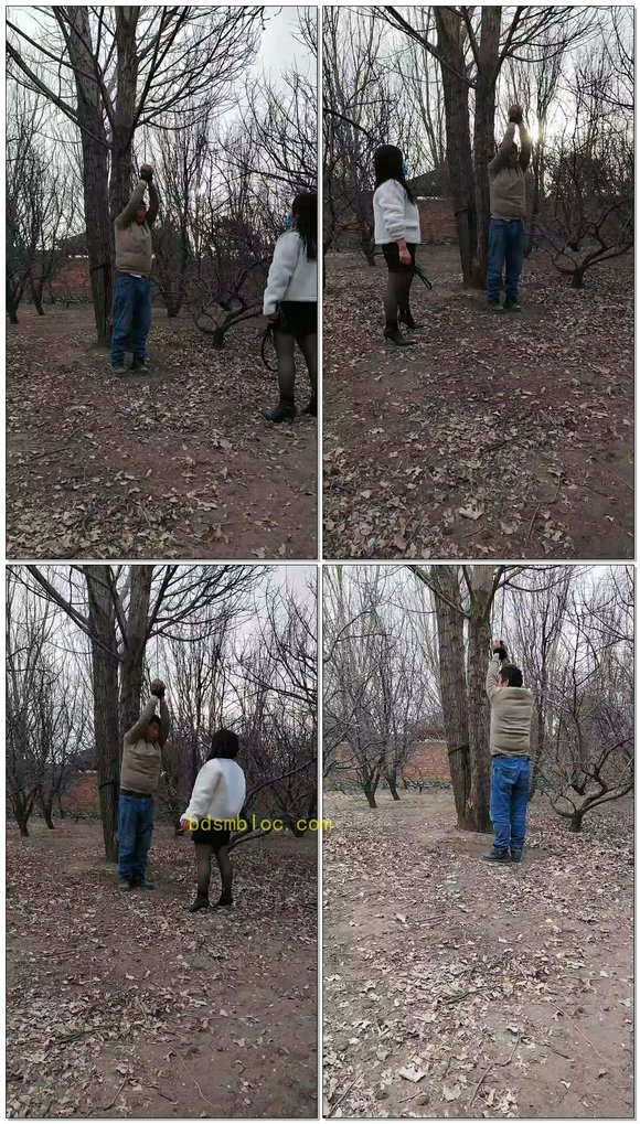 【沐颜s】老狗吊树上数据线鞭打