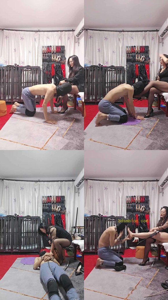 【南荣S】新狗开发看小奶狗被虐