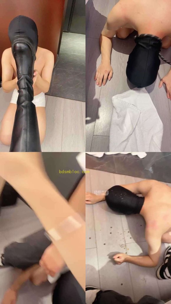 【蓓蓓S】情侣主调贱狗