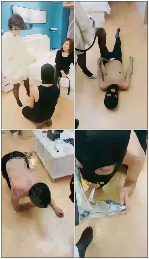 【羽诺s】双主训狗