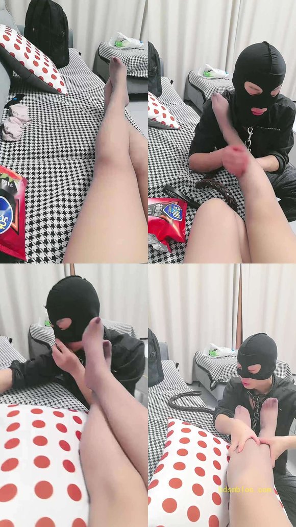【鱼主S】锁狗是怎么犯贱的