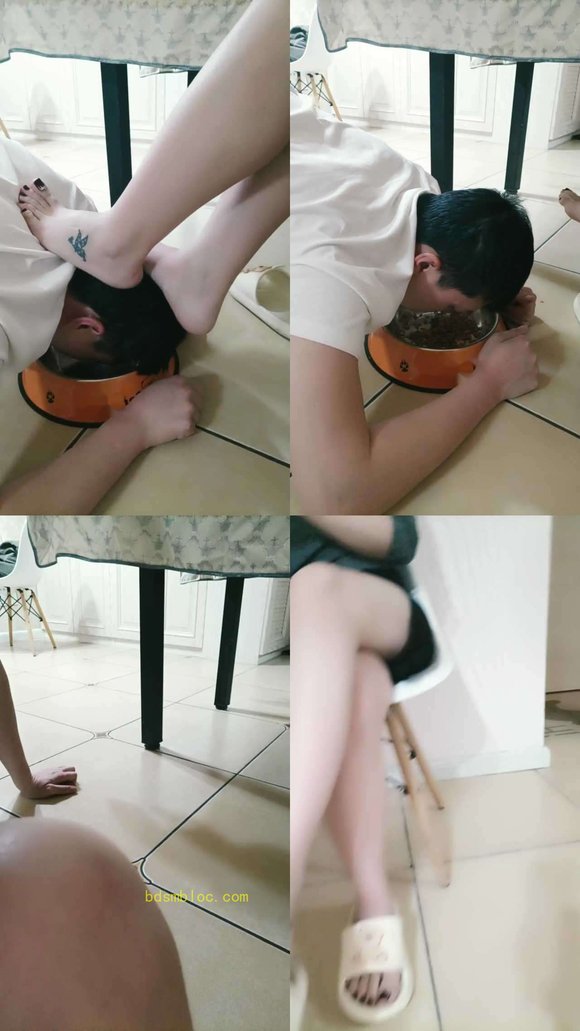 【珍惜女王】狗子的日常喂养