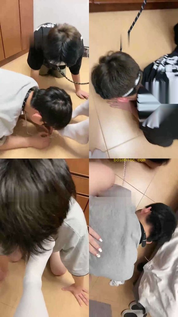 【小陈老师】双S双奴黑丝白丝羞辱