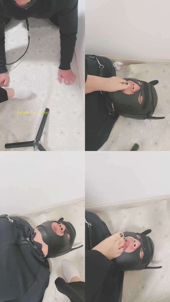 【上上】强迫狗舔穿一天的白鞋原味船袜