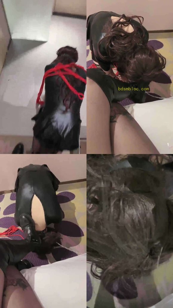 【爆爆】主人最喜欢的