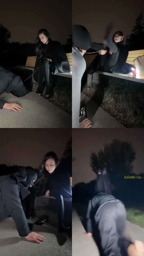 【水晶熊】户外除臭舔脚踢裆圣水遛狗玩