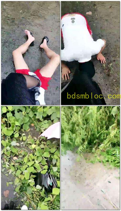 【雅迪s】台风也阻挡不了我遛狗！