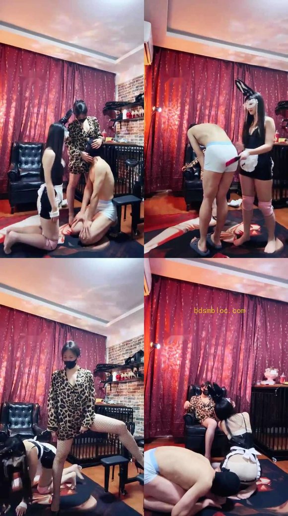 【冷颜女王】女主人已经一对公母狗