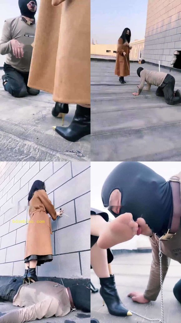 【辣姐】户外虐狗