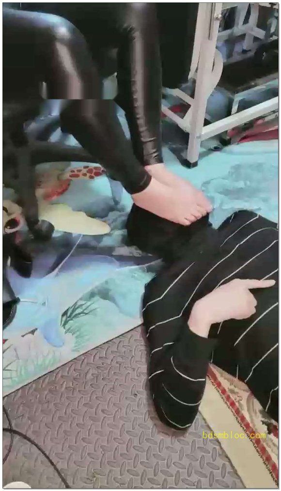 【西安欣】戏耍，强迫狗子吃完板栗酥配大酱