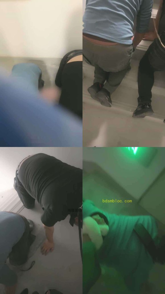 【棠棠殿下】双狗楼梯间露出狗咬狗学狗抬腿撒尿