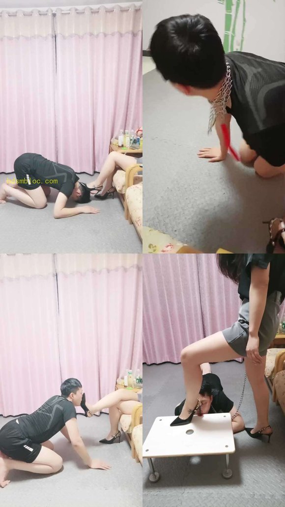 【珍惜女王】直播遛狗，玩狗