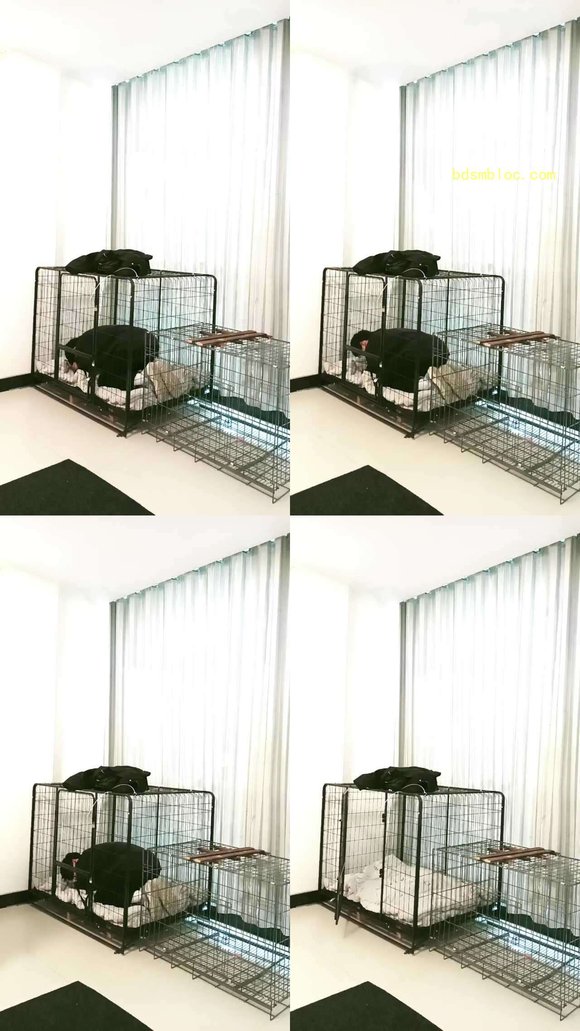 【天韵女皇】狗笼圈养犬化