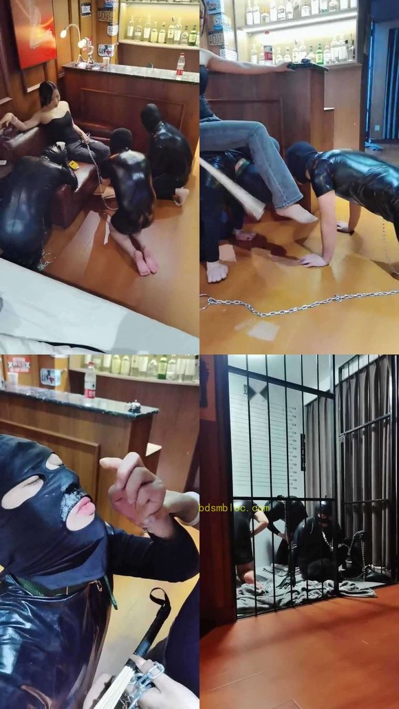 【药神】多只狗狗争抢舔脚