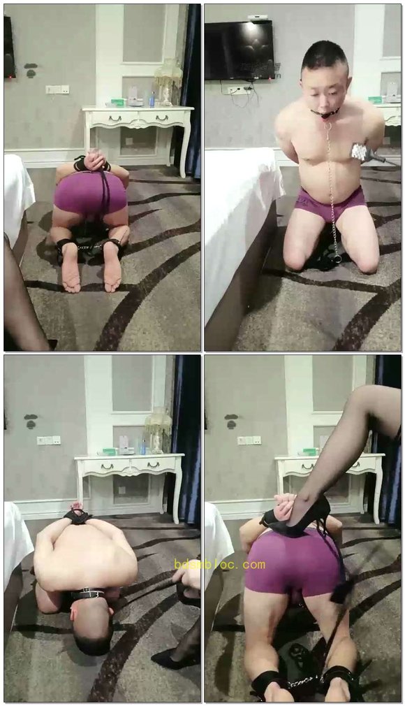 【武则天S】贱狗捆绑鞭打调教