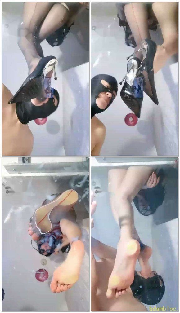 【叶子天津】叶子女王家畜日常吃狗食