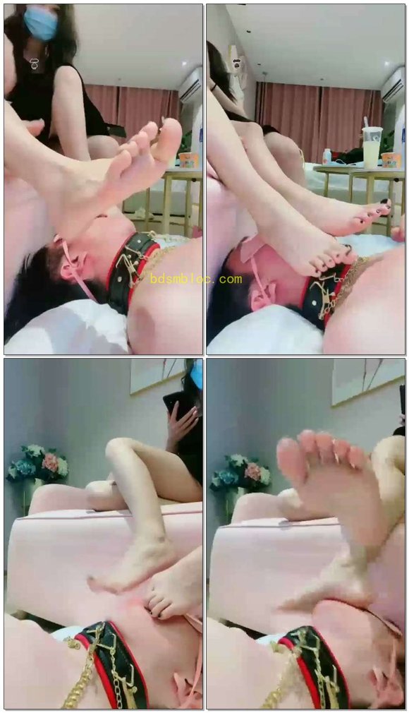 【悠悠&amp;猫熙】双S休闲踩狗聊天