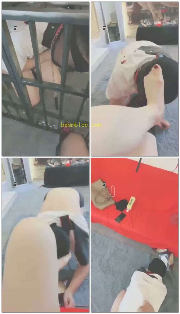 【妖妖学姐】狗笼子里舔绝美黑丝+脚耳光+脚深喉