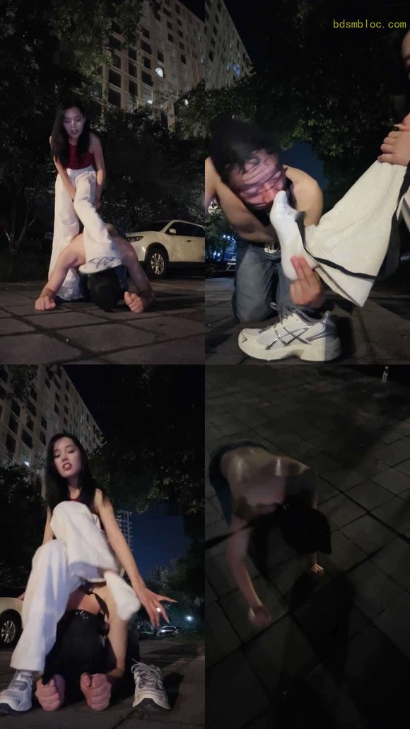 【等等s】深夜户外遛狗