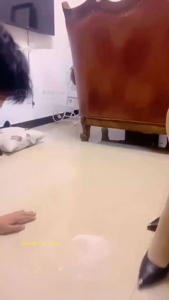 【冷鸢大大】新年的第一Party