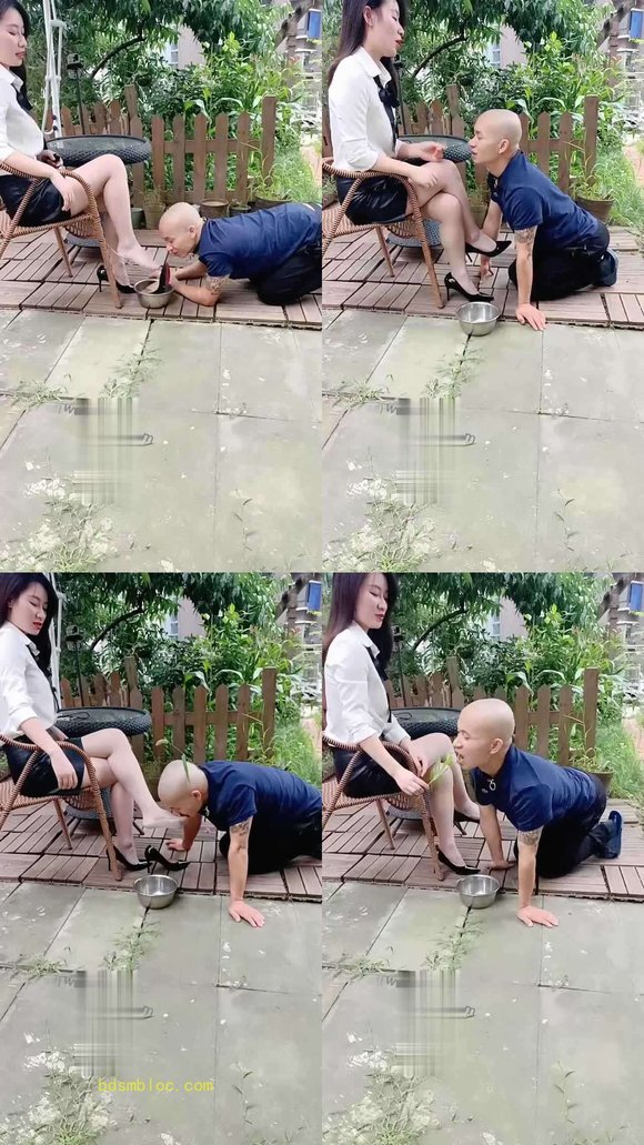 【王妃】户外遛狗喂食