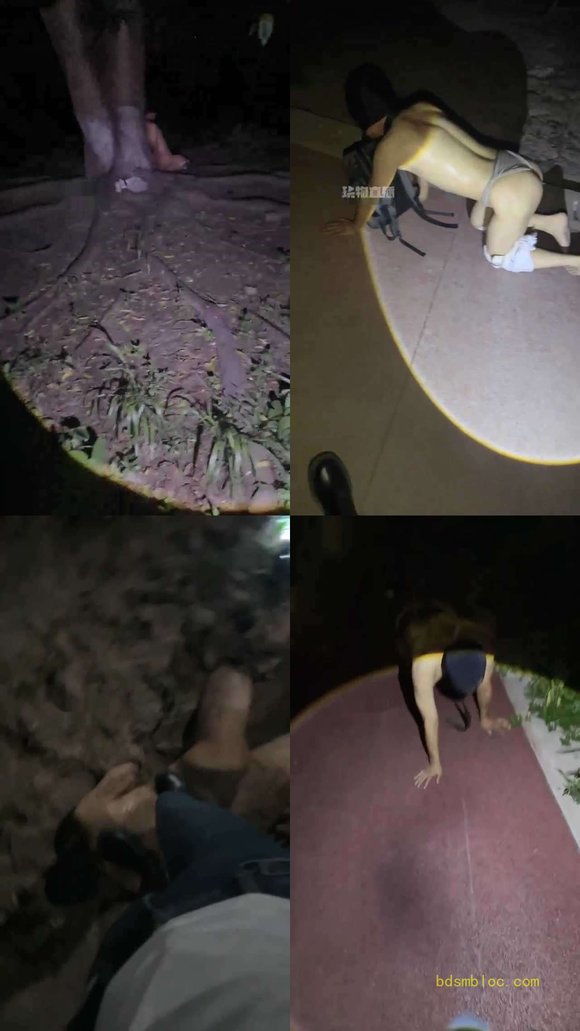 【重庆佳禾小妈】户外玩大龄贱狗