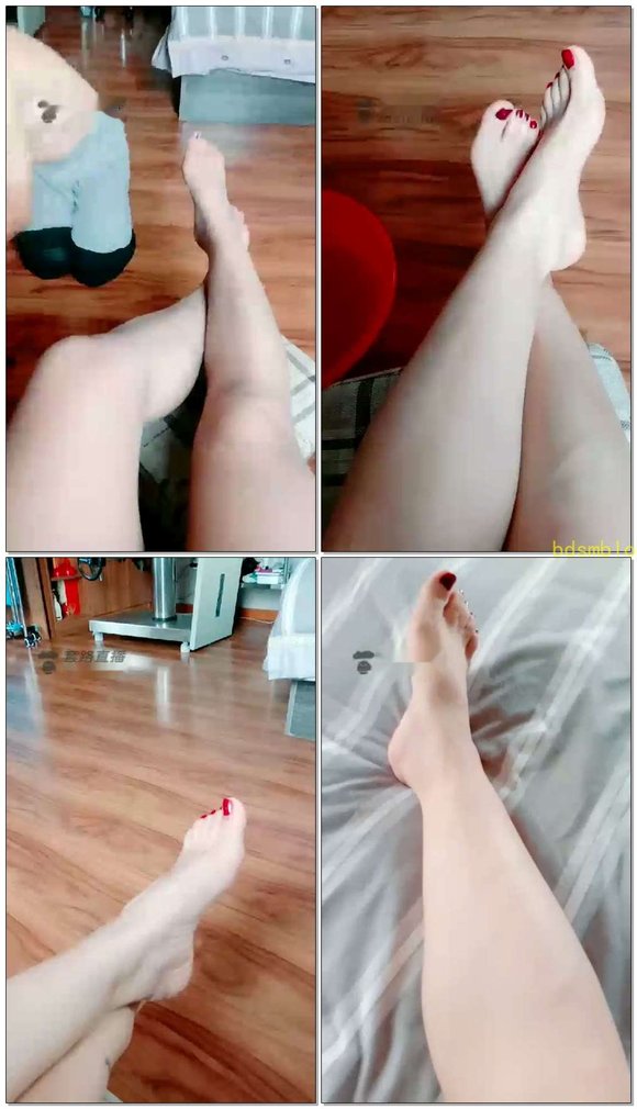 【灵犀女ss】日常赏赐脚奴伺候我的脚，这次是丝袜