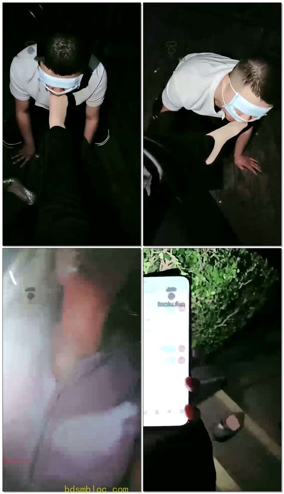 【林夕女王】公园边玩贱狗舔鞋舔肉丝