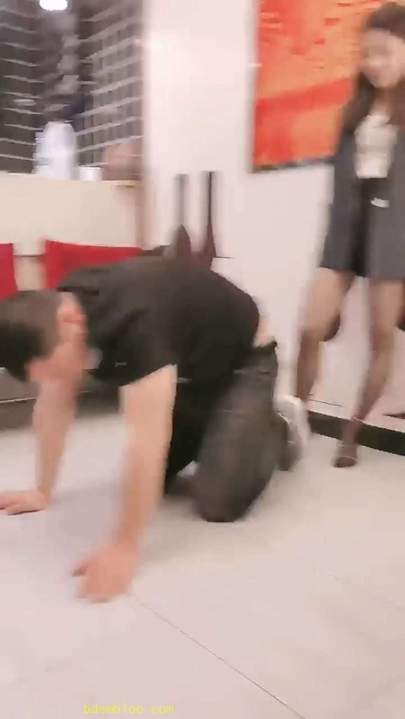 【美帝】渣男变狗奴