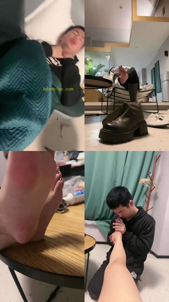 【汐言】睡前虐一波家奴