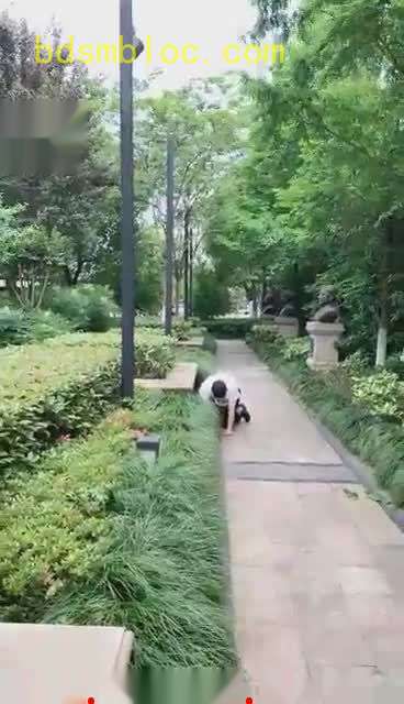 【莫妮卡卡dom】圈养家奴户外十字路口公园爬行填鞋底