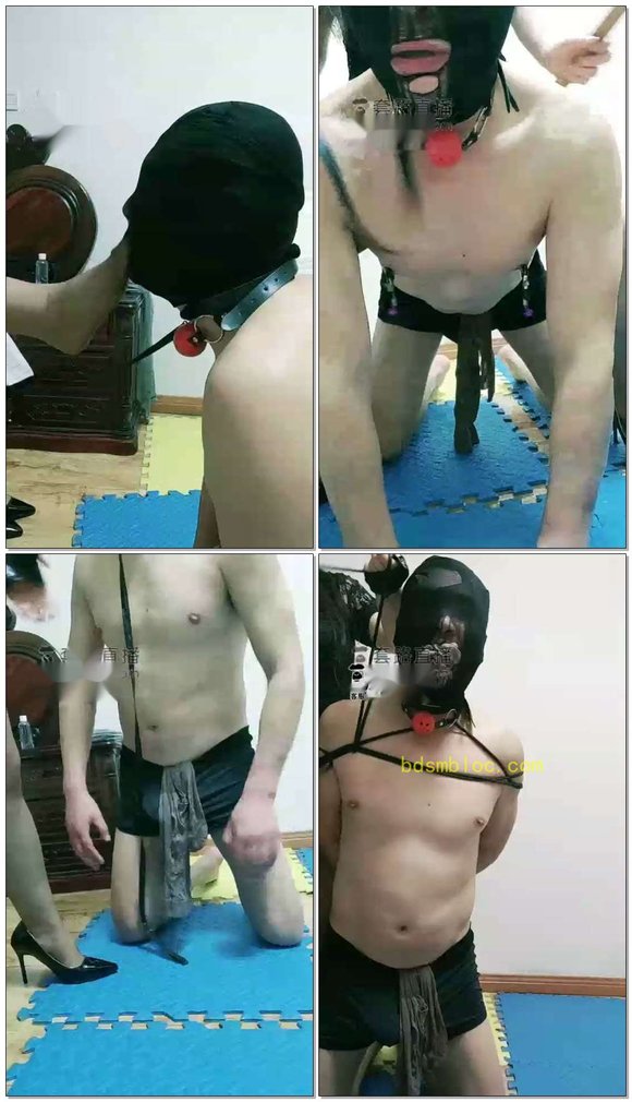 【小阿洋】骚狗犯贱