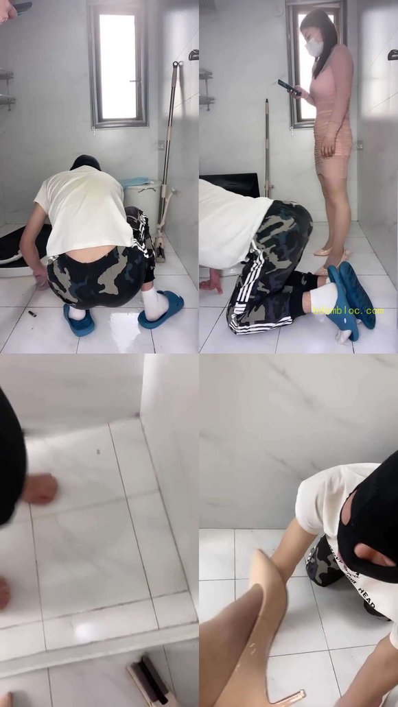 【巴莉女王】卫生间清理器