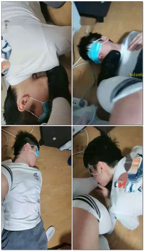 【学生诺熙S】学校解封后开始调狗了（三）