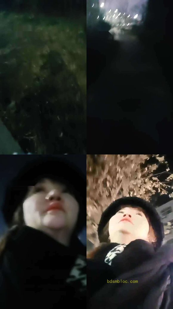 【乐爷】户外遛狗犬化训练