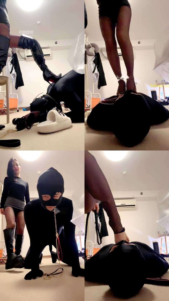 【广州苏苏】贱狗全副武装过来找妈妈调