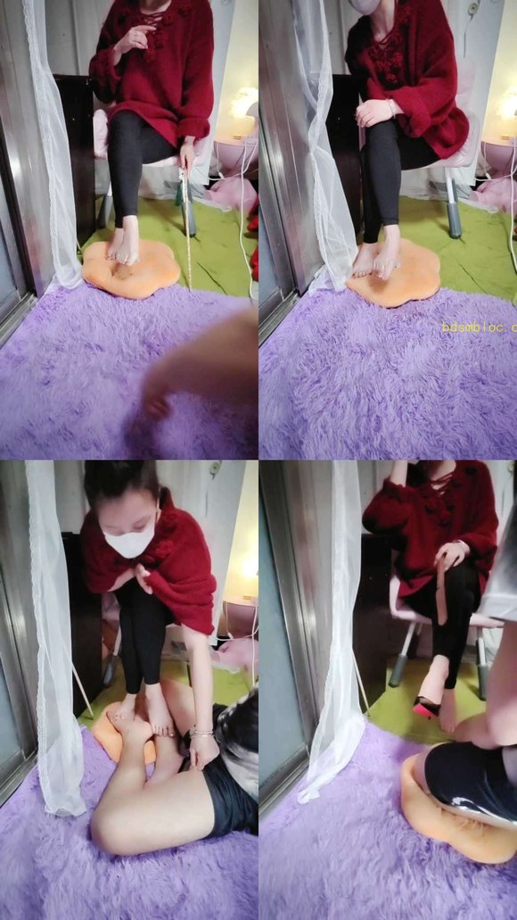 【柠檬S】调狗