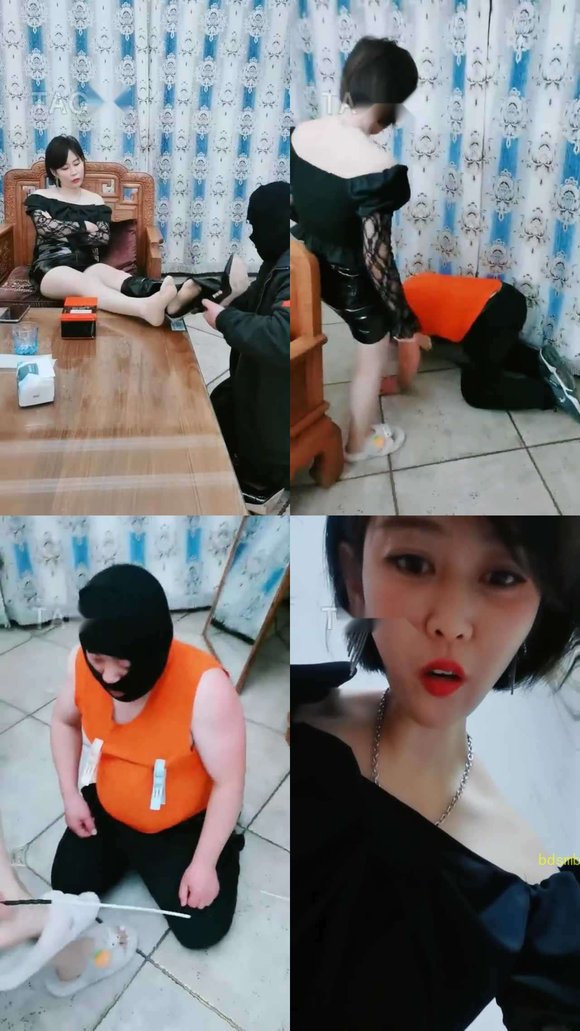 【语晴】求爱不成反成狗奴