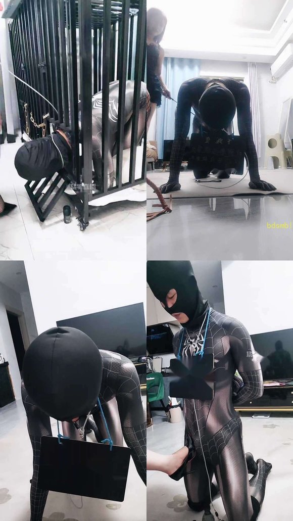 【玫瑰S】猫咪的尾巴，玫瑰S，双主调教圈养tj傻逼狗