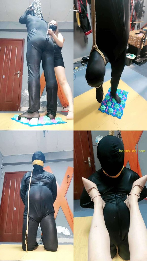 【东营天香百合】惩罚狗