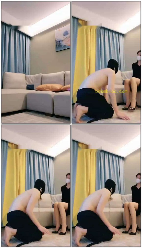 【禾未】家仆厕化犬化考核乌桶奴塑造