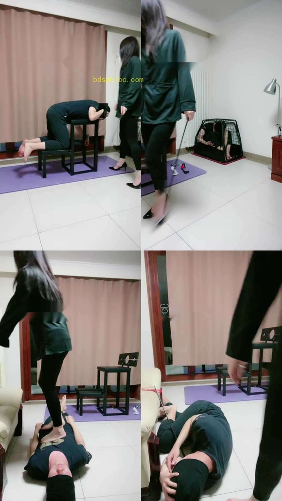 【潇潇女主】圈养狗奴被完虐