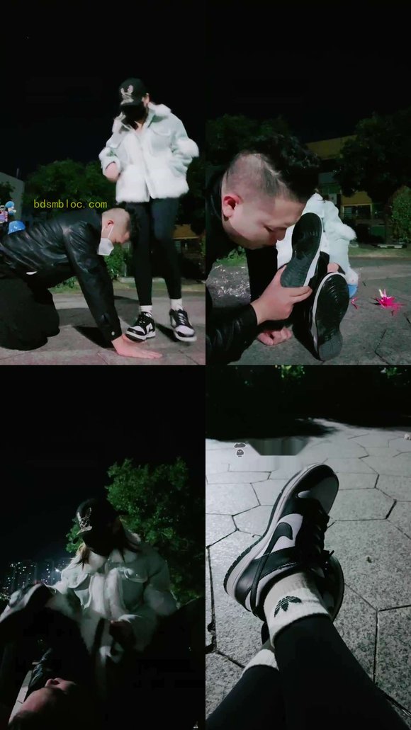 【雪琪琪】平安夜户外玩狗