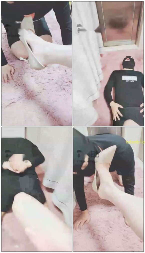 【灵竹】花样玩狗，狂踢裆，狂踹档