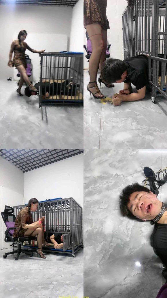 【喵主】绿帽前任被关狗笼虐