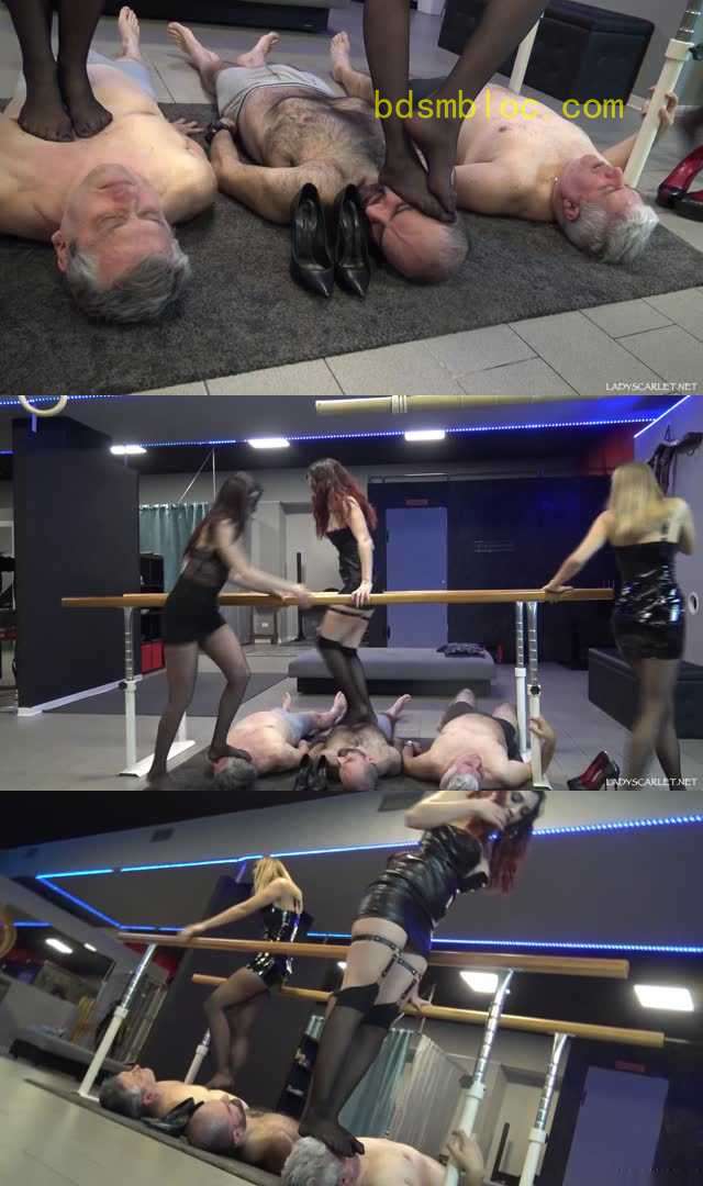 【欧美女王】Scarlet Gabriella和Victoria三位极品女神臭丝袜脚群踩三条贱狗！