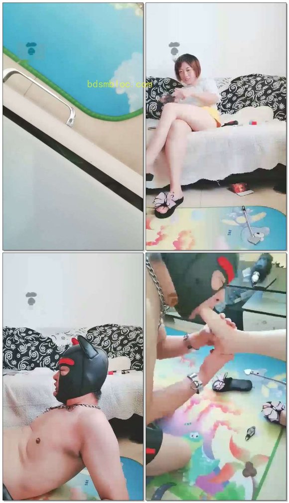 【荔枝S】双s玩贱狗